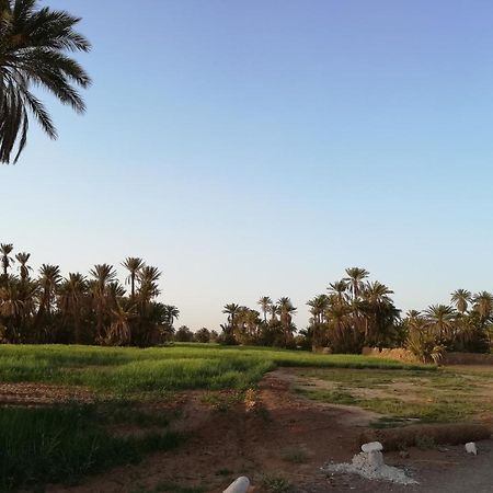Kasbah Les Alizes Du Desert M'Hamid Exterior photo