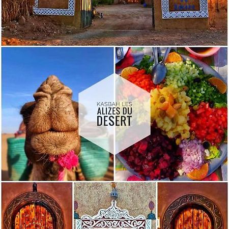 Kasbah Les Alizes Du Desert M'Hamid Exterior photo