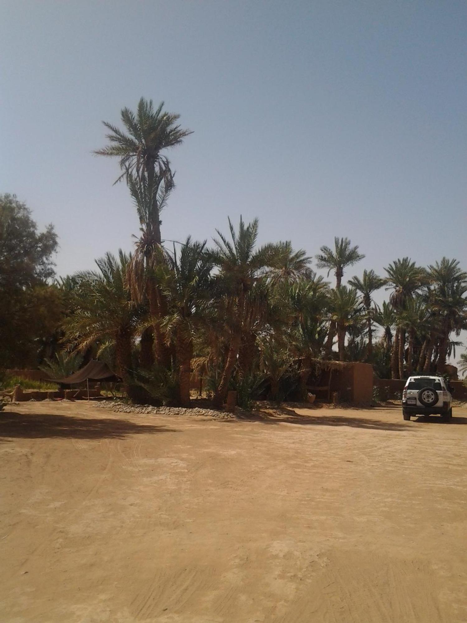 Kasbah Les Alizes Du Desert M'Hamid Exterior photo