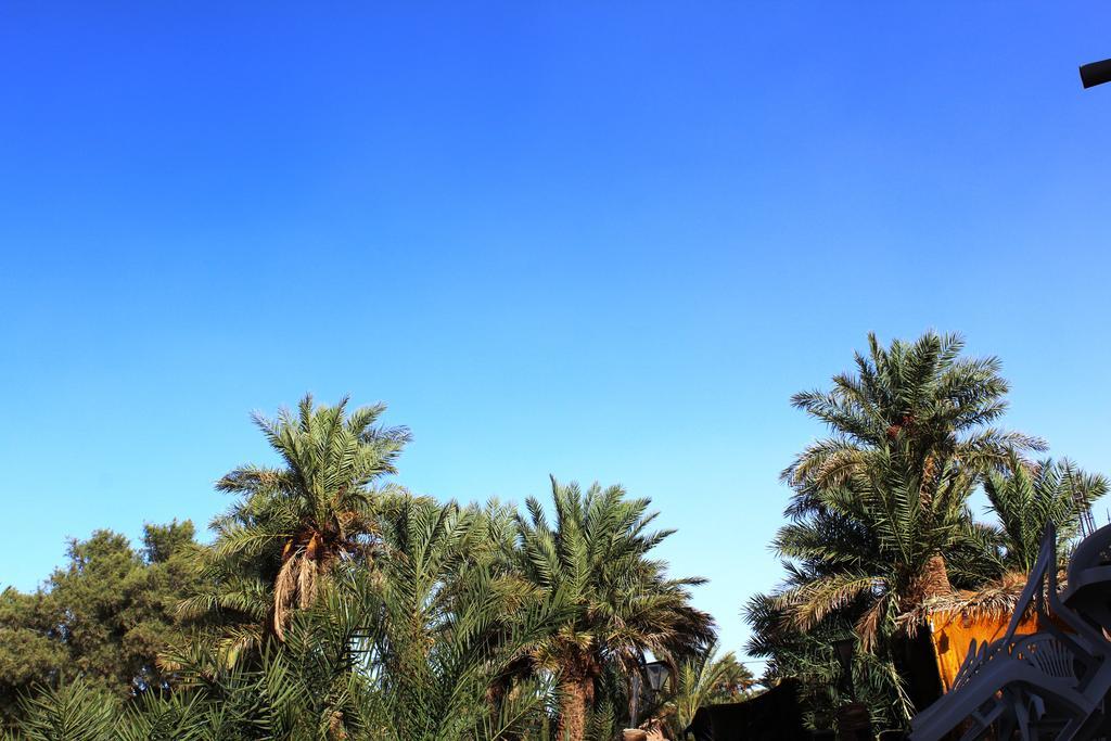 Kasbah Les Alizes Du Desert M'Hamid Exterior photo