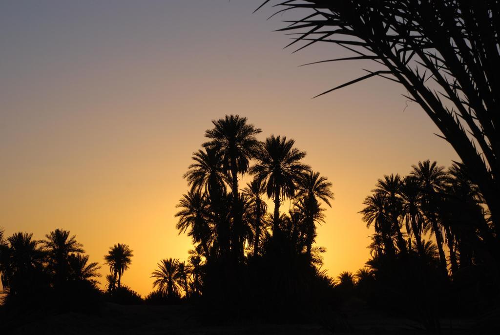 Kasbah Les Alizes Du Desert M'Hamid Exterior photo
