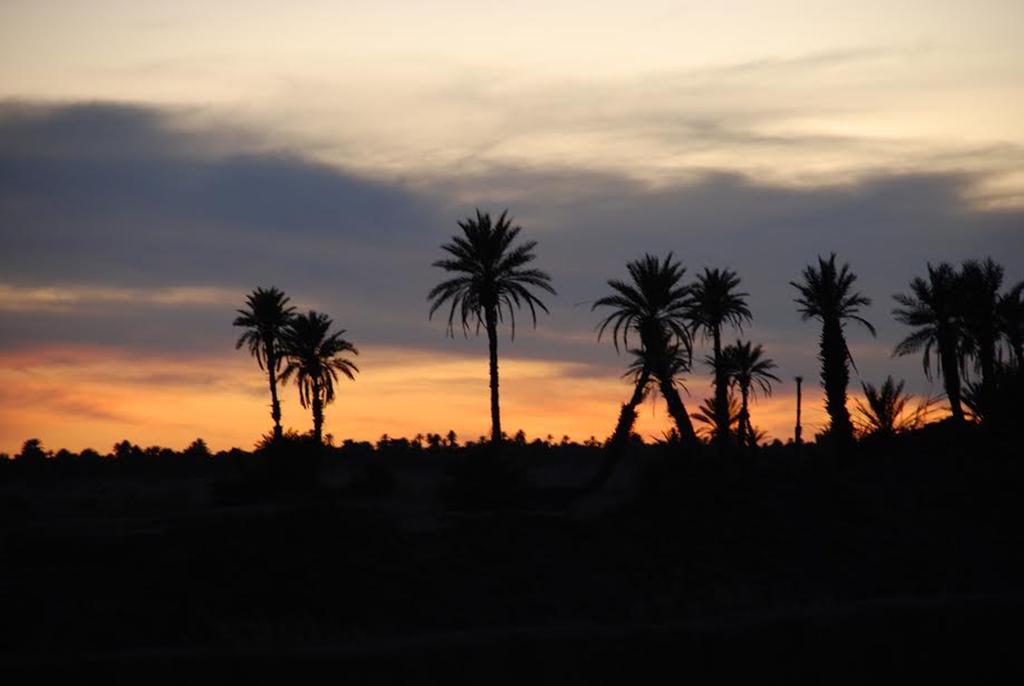 Kasbah Les Alizes Du Desert M'Hamid Exterior photo