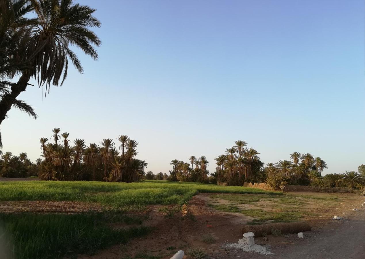 Kasbah Les Alizes Du Desert M'Hamid Exterior photo