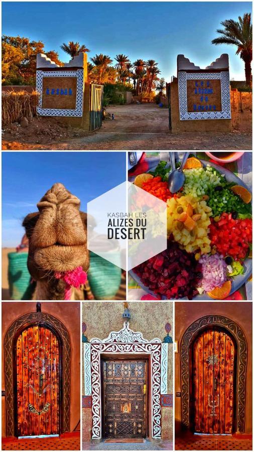 Kasbah Les Alizes Du Desert M'Hamid Exterior photo