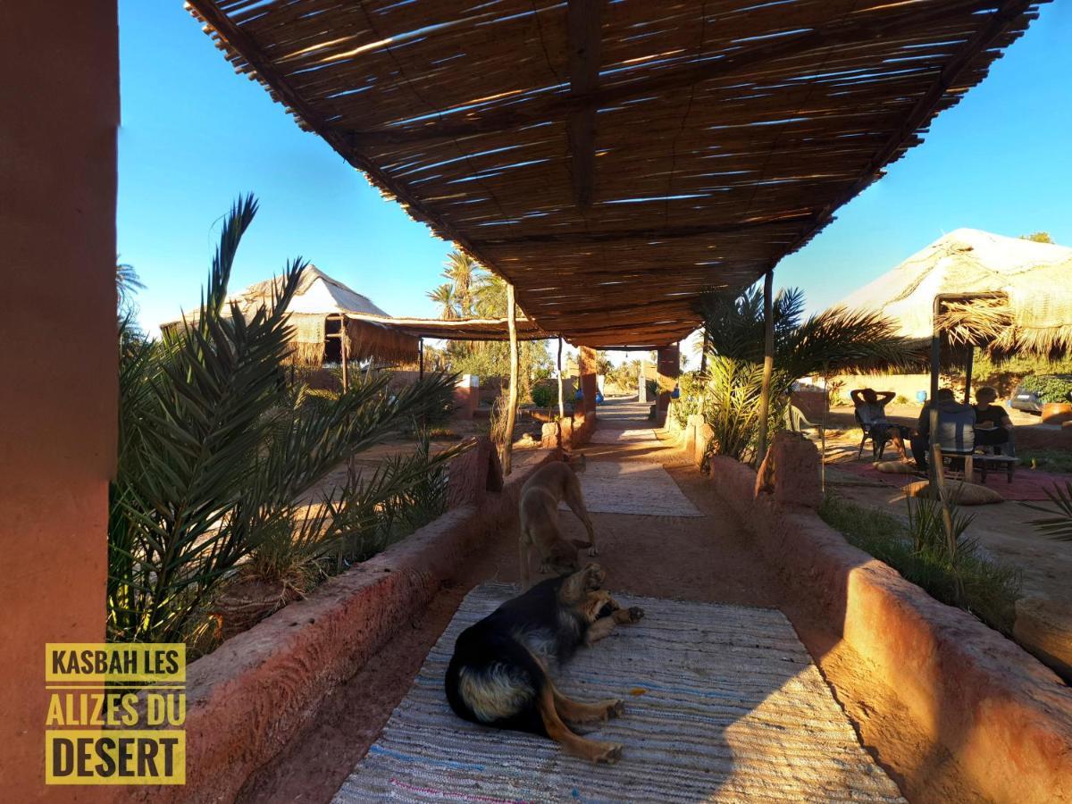 Kasbah Les Alizes Du Desert M'Hamid Exterior photo
